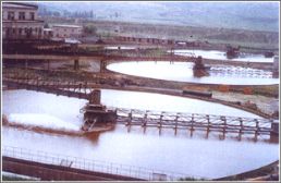 �ܱ߹��ִ���Ũ�ܻ�